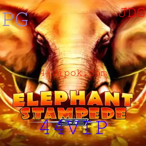 Explorando o Dinâmico Mundo de ElephantStampedeSE
